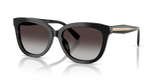 Black / Grey Gradient (50028G)