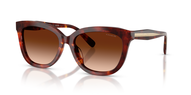 Coach CDP53 in Walnut Tortoise / Brown Gradient (593874) - Alternate View