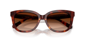 Walnut Tortoise / Brown Gradient (593874)