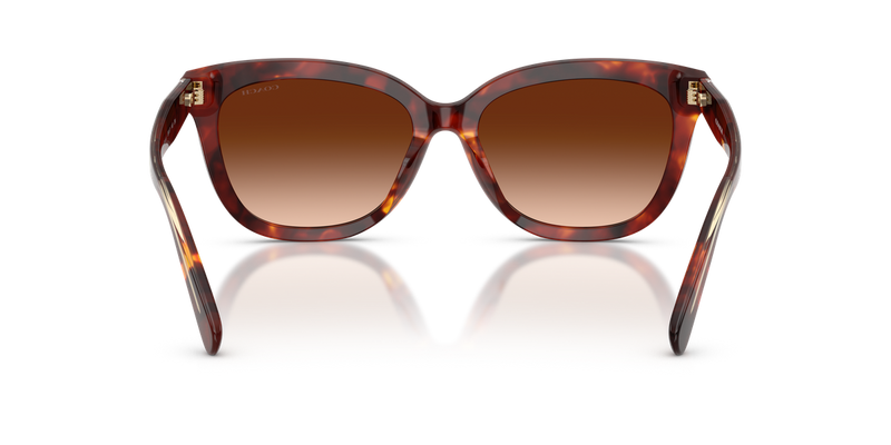 Coach CDP53 in Walnut Tortoise / Brown Gradient (593874) - Alternate View