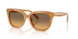 Blonde Tortoise / Olive (593911)