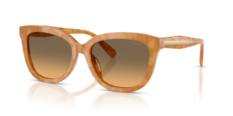 Coach CDP53 in Blonde Tortoise / Olive (593911) - Alternate View