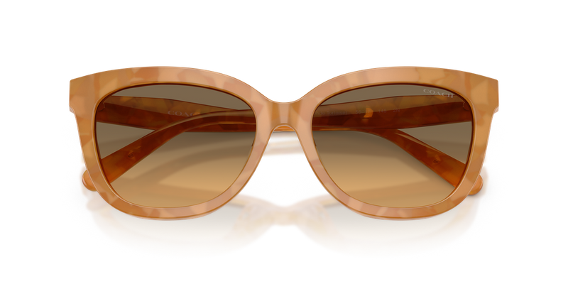 Coach CDP53 in Blonde Tortoise / Olive (593911) - Alternate View