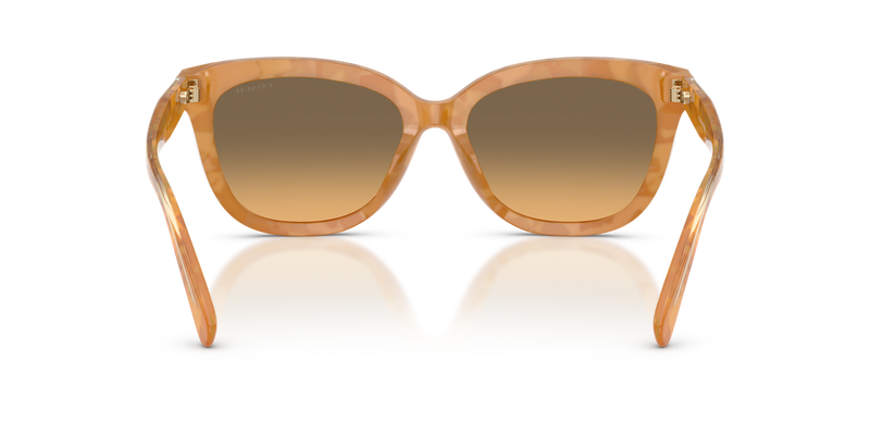 Coach CDP53 in Blonde Tortoise / Olive (593911) - Alternate View