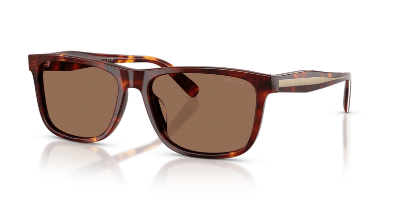 Coach CDP55 in Walnut Tortoise / Brown Solid (593813) - Alternate View