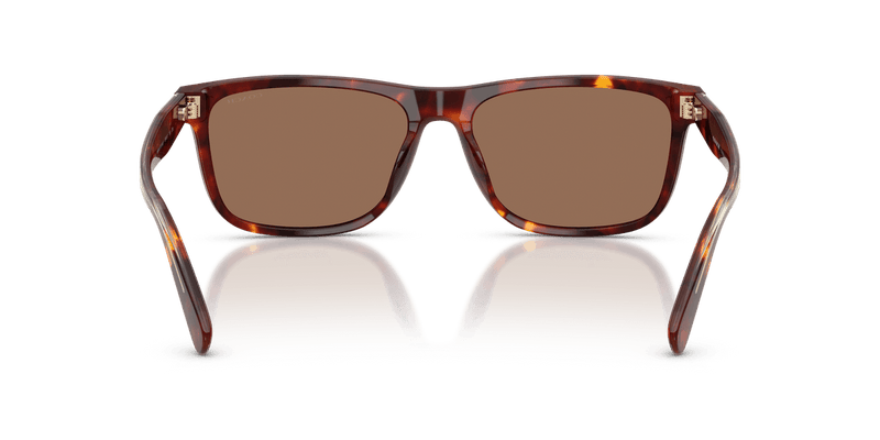 Coach CDP55 in Walnut Tortoise / Brown Solid (593813) - Alternate View