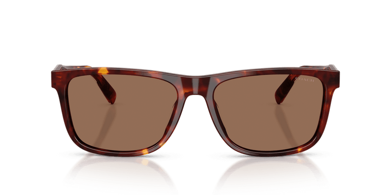 Coach CDP55 in Walnut Tortoise / Brown Solid (593813) - Alternate View