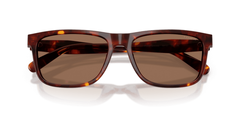 Coach CDP55 in Walnut Tortoise / Brown Solid (593813) - Alternate View