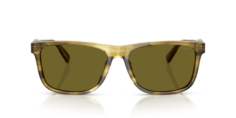Coach CDP55 in Striated Olive / Green Solid (5945/2) - Alternate View