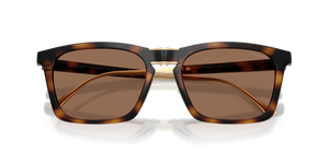 Dark Tortoise / Brown Solid (512013)