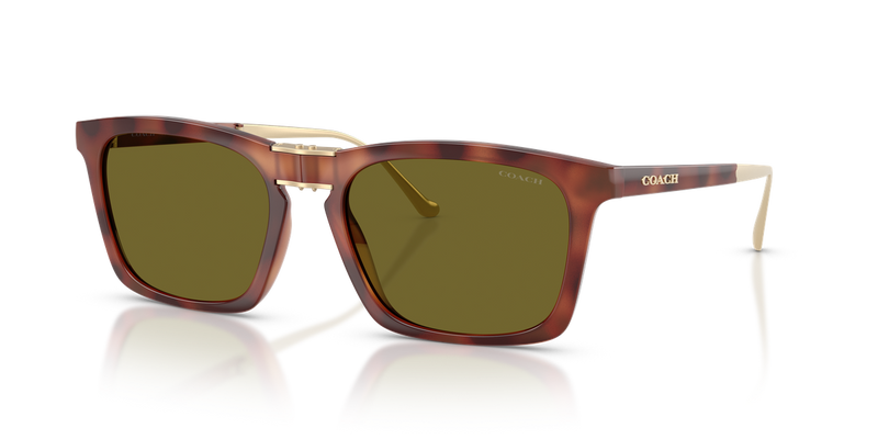 Coach CDP54 in Caramel Tortoise / Green Solid (5774/2) - Alternate View