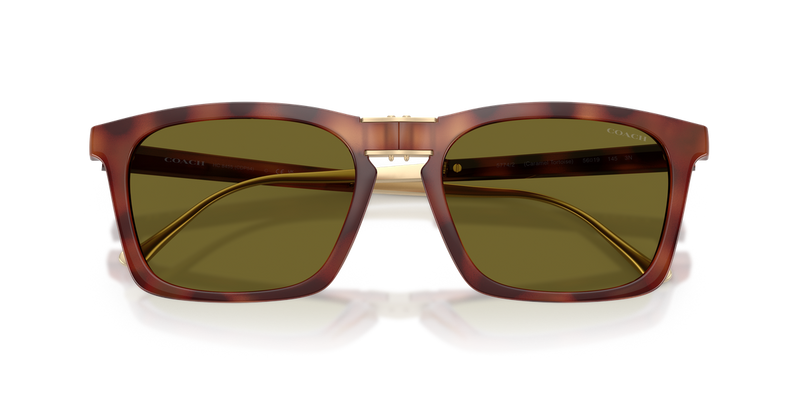 Coach CDP54 in Caramel Tortoise / Green Solid (5774/2) - Alternate View