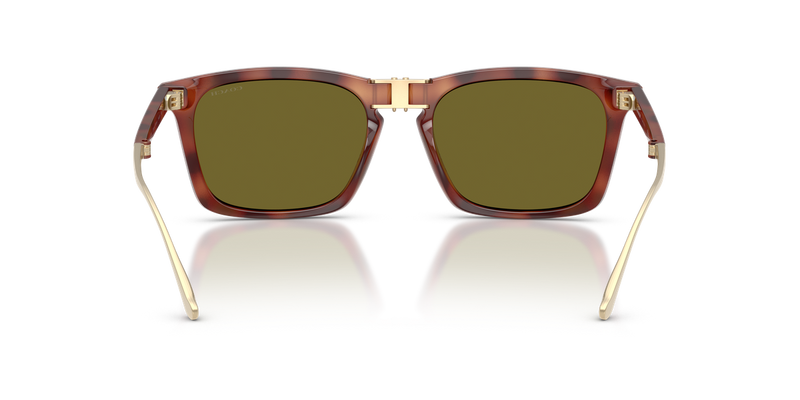 Coach CDP54 in Caramel Tortoise / Green Solid (5774/2) - Alternate View