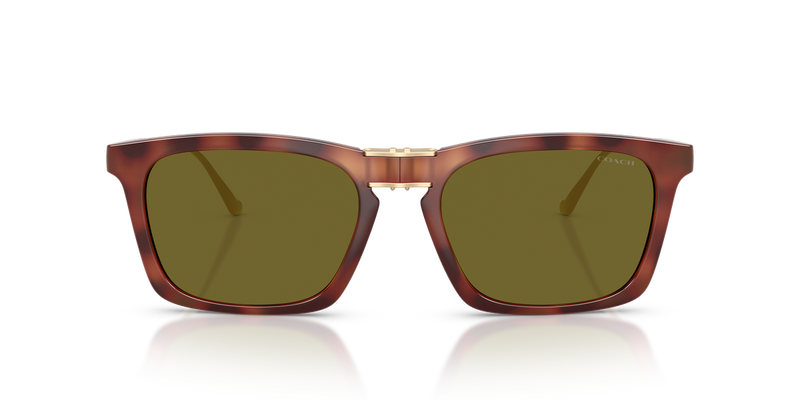 Coach CDP54 in Caramel Tortoise / Green Solid (5774/2) - Alternate View