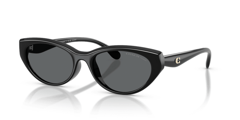 Coach CDP42 in Black / Grey Solid Polarized (500281) - Alternate View