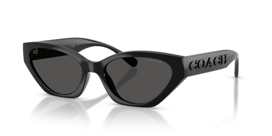 Coach CFT83 - Black / Grey Solid (500287)