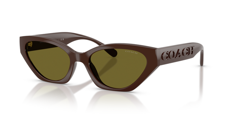 Coach CFT83 in Pecan - Alternate View