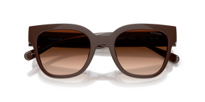 Pecan / Brown Gradient (595774)