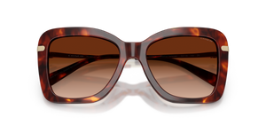 Walnut Tortoise / Brown Gradient (593874)