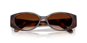 Dark Tortoise / Brown Gradient (512074)