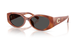 Caramel Tortoise / Grey Solid (577487)