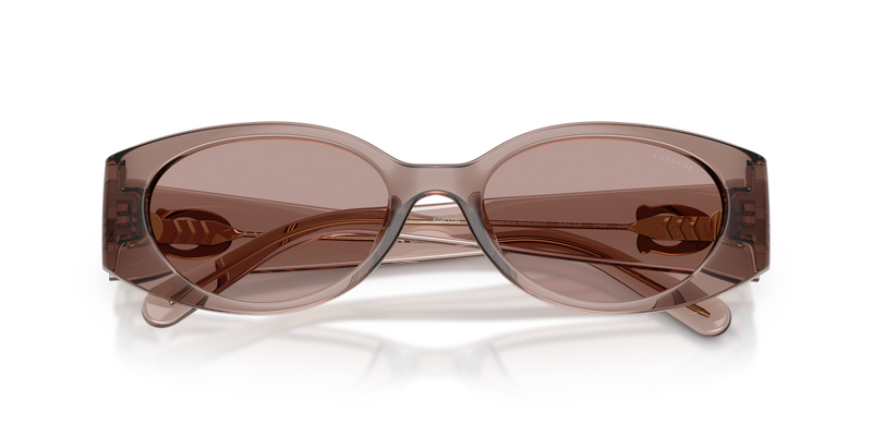 Coach CFU06 in Transparent Mauve - Alternate View