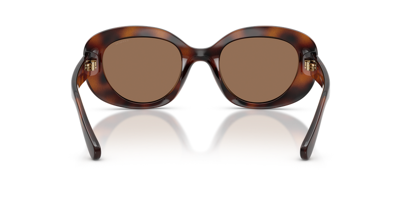 Coach CFU08 in Dark Tortoise - Alternate View