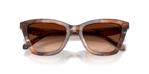 Pecan Watercolor / Brown Gradient (596574)