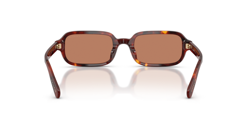 Coach CFU11 in Walnut Tortoise - Alternate View