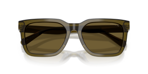 Transparent Olive / Olive Solid (591073)