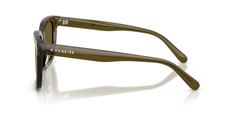 Coach CFU12 in Transparent Olive - Alternate View