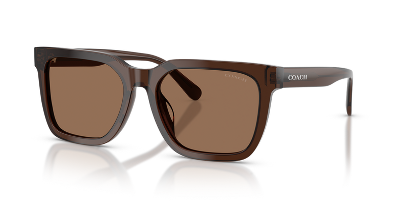 Coach CFU12 in Transparent Brown - Alternate View