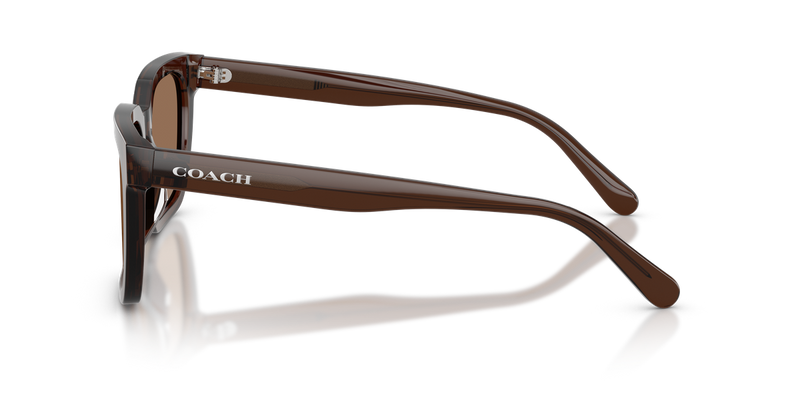 Coach CFU12 in Transparent Brown - Alternate View