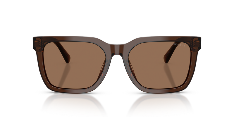 Coach CFU12 in Transparent Brown - Alternate View