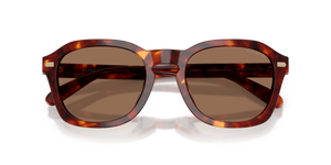 Walnut Tortoise / Brown Solid (593873)