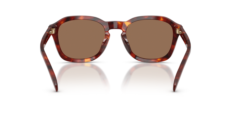 Coach CFU14 in Walnut Tortoise - Alternate View