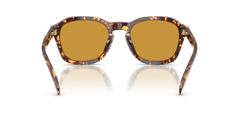 Coach CFU14 in Tortoise Mustard - Temple Detail