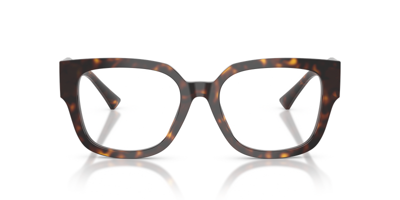 Jimmy Choo JC3042B in Havana / Demo Lens (5002) - Alternate View