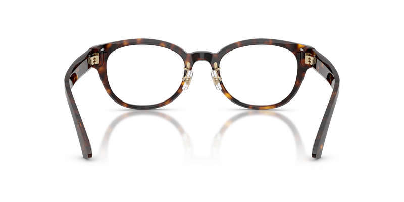 Jimmy Choo JC3058D in Havana - Alternate View