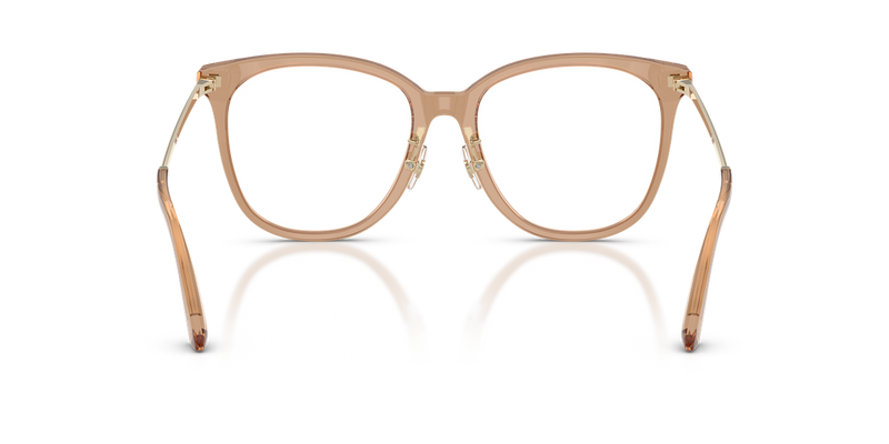 Jimmy Choo JC3060F in Transparent Tan - Temple Detail