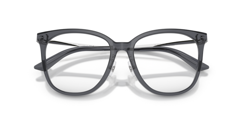 Jimmy Choo JC3060F in Transparent Grey - Alternate View