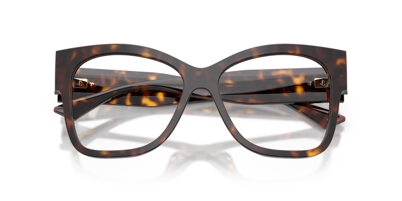 Jimmy Choo JC3062U in Havana - Alternate View