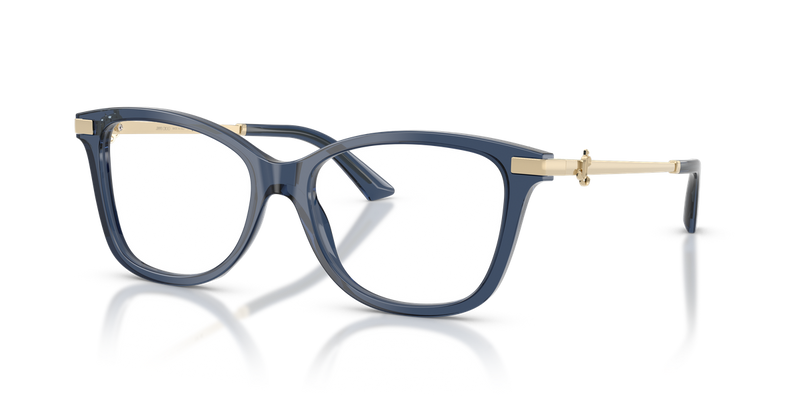 Jimmy Choo JC3068BF in Transparent Navy - Alternate View