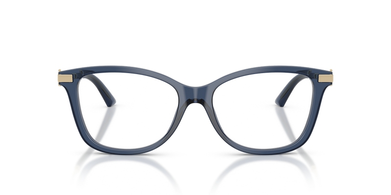 Jimmy Choo JC3068BF in Transparent Navy - Alternate View