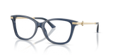Transparent Navy / Demo Lens (5035)
