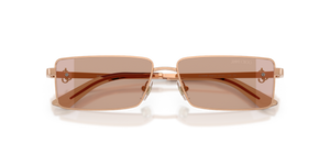 Rose Gold / Brown Gradient (300813)