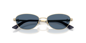 Pale Gold / Dark Blue (300680)