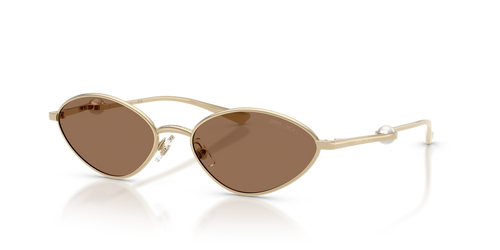 Pale Gold / Dark Brown (300673)