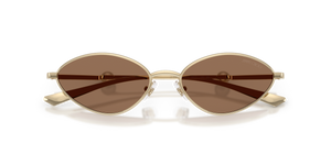 Pale Gold / Dark Brown (300673)