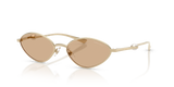 Pale Gold / Brown (301773)